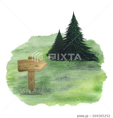 Wooden shields, arrows, pointers. Fir tree, spruce. Green glade, field, edge. Watercolor illustration on a white background. Hand drawn 104165252