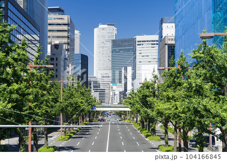 名古屋中区 都市風景 桜通の銀杏並木と名古屋駅ビル群 日銀前交差点歩道橋からの眺望 名古屋中区 都市風景 桜通の銀杏並木と名古屋駅ビル群 日銀前交差点歩道橋からの眺望 104166845