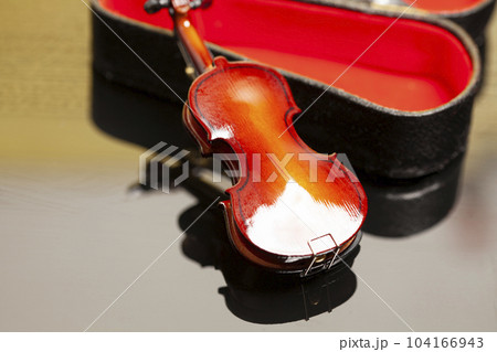 violin in red velvet case violin in red velvet case 104166943