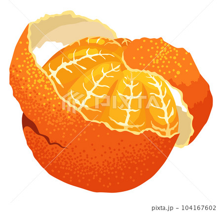 Mandarin icon. Cartoon isolated sweet citrus fruit. Fresh tropical tangerine. Organic vector illustration. Orange segments Mandarin icon. Cartoon isolated sweet citrus fruit. Fresh tropical tangerine. Organic vector illustration. Orange segments 104167602