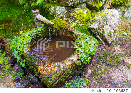 手水鉢　手水 104168627