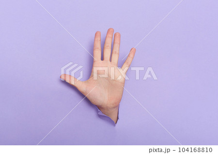 Photo of person's hand breaking through a hole in purple paper, showing five fingers, gesturing high five, waving hello or bye. Photo of person's hand breaking through a hole in purple paper, showing five fingers, gesturing high five, waving hello or bye. 104168810