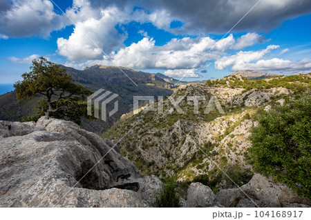 Mirador Coll de Reis, Nudo de Corbata, Serra de Tramuntana mountain Balearic Islands Mallorca Spain. 104168917