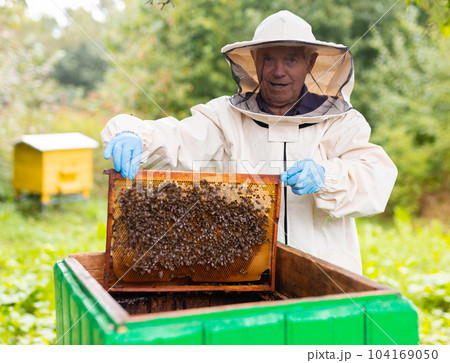 Elderly hiver standing beside hive with hive frame in hands 104169050