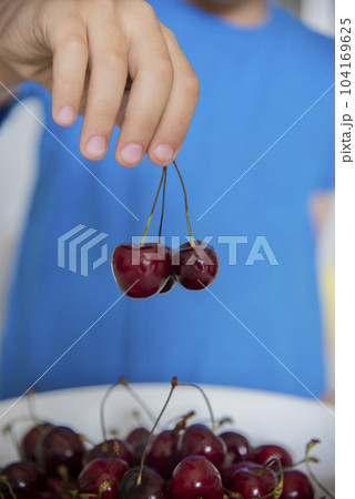 Ripe red cherries. The child's hands hold ripe cherries Ripe red cherries. The child's hands hold ripe cherries 104169625