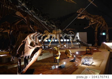 神奈川県立生命の星地球博物館 104170741