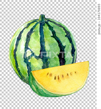 Watercolor illustration, hand-drawn illustration, yellow watermelon Watercolor illustration, hand-drawn illustration, yellow watermelon 104170893