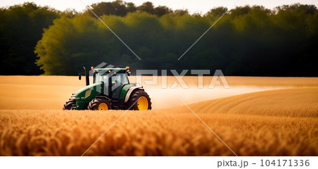 A combine harvester or agricultural tractor is processing or harvesting wheat in a field in the afternoon at sunset. Generative AI. 104171336