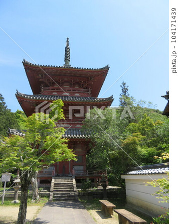 太山寺 三重塔 太山寺 三重塔 104171439