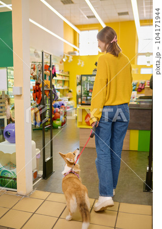 Back view on young woman and her dog corgi walking at pet shop 104171944