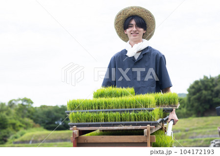 田植えをする若い男性 104172193