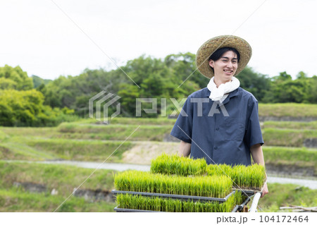 田植えをする若い男性 田植えをする若い男性 104172464