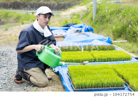 田植えをする若い男性 田植えをする若い男性 104172754