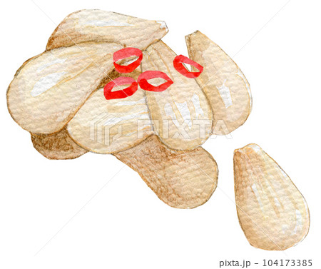 水彩イラスト 手描きイラスト らっきょう 水彩イラスト 手描きイラスト らっきょう 104173385