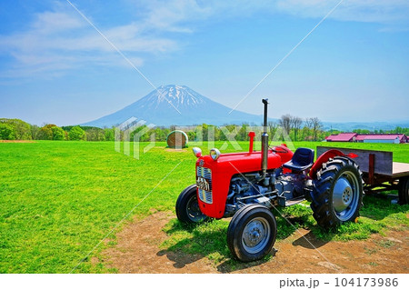 羊蹄山を望むニセコ高橋牧場の風景 羊蹄山を望むニセコ高橋牧場の風景 104173986