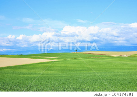 爽やかな青空と雲の北海道らしいシンプルな風景 104174591