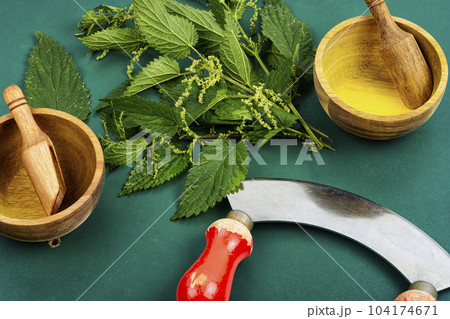 Nettle fresh green leaves and knife. Nettle fresh green leaves and knife. 104174671