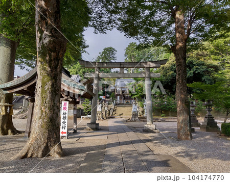 埼玉県深谷市を守護する瀧宮神社　夏至の朝参拝 104174770