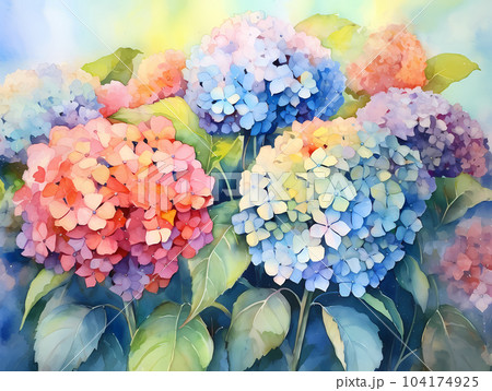 水彩画風のドラマチックな紫陽花のイラストのイラスト素材 [104174925