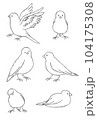 文鳥 104175308