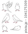 文鳥② 104175309