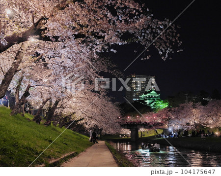 愛知県の岡崎城と夜桜 愛知県の岡崎城と夜桜 104175647