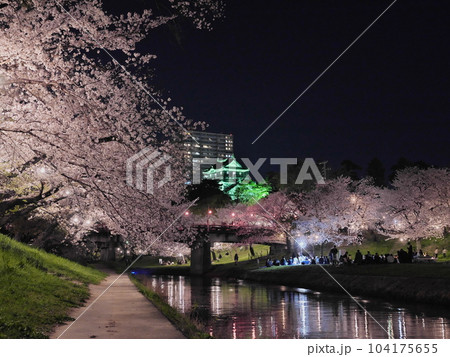 愛知県の岡崎城と夜桜 愛知県の岡崎城と夜桜 104175655