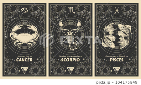 Zodiac signs Cancer, Scorpio, Pisces, water element, mystical astrology card set, horoscope banner with realistic pattern on black background for stories. Vector boho hand drawing, magic design. 104175849