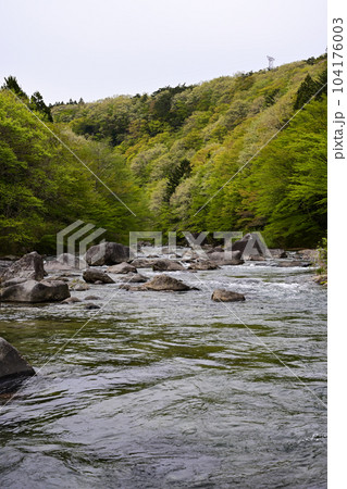 穏やかな川 104176003