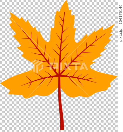 Autumn fall leaves decoration element, flat style illustration. 104176140