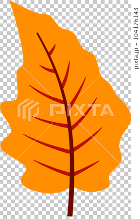 Autumn fall leaves decoration element, flat style illustration. 104176143