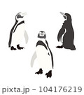 ペンギンのイラスト  104176219