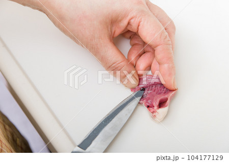 【焼き鳥ハツの下処理をする主婦　血合い有】 104177129