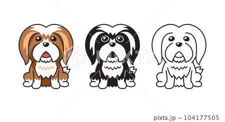 Vector cartoon set of lhasa apso dog 104177505