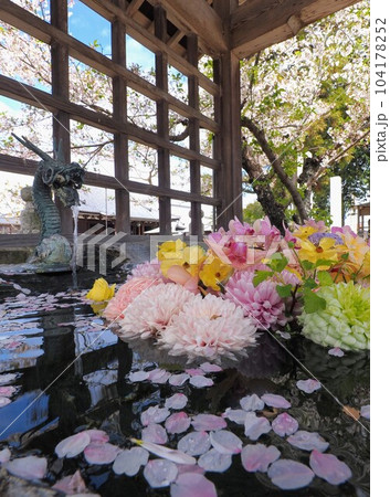 第七十六番札所・金倉寺（こんぞうじ）【香川県善通寺市金蔵寺町】花手水3 104178252
