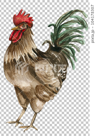 hand painted rooster