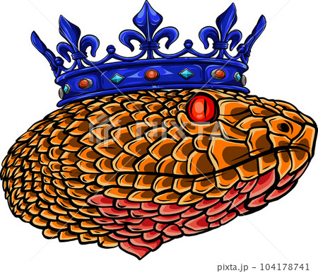 Snake Crown template design Vector illustration Isolated 104178741