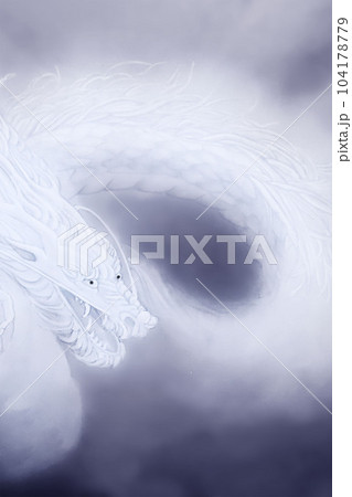 迫力のある白龍の水墨画風イラスト 年賀状ハガキサイズ 墨 縦 他色/高解像度画像有 104178779