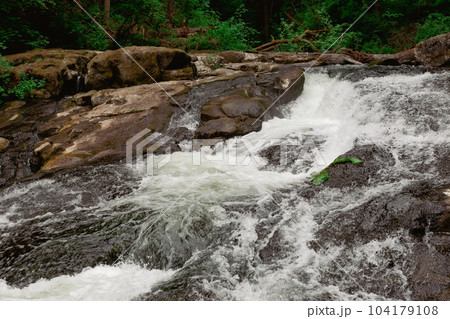 Stream through the Rocks in the Forest in Lacamas 104179108