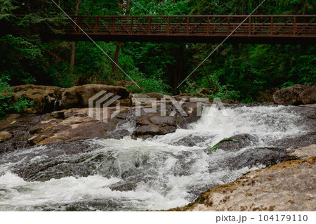 Stream and Wooden Bridge in the Lacamas Park 104179110
