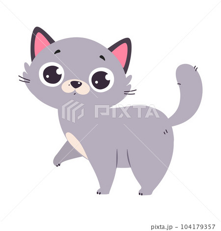 Funny Grey Cat with Cute Snout as Domestic Pet Walking Vector Illustration Funny Grey Cat with Cute Snout as Domestic Pet Walking Vector Illustration 104179357