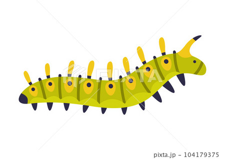 Bright Green Caterpillar as Larval Stage of Insect Crawling and Creeping Vector Illustration 104179375