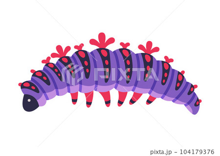 Purple Caterpillar as Larval Stage of Insect Crawling and Creeping Vector Illustration Purple Caterpillar as Larval Stage of Insect Crawling and Creeping Vector Illustration 104179376