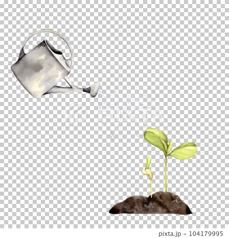 watering can sprout soil watering can sprout soil 104179995