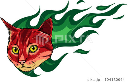 Vector Illustration of Cat head with flames Vector Illustration of Cat head with flames 104180044