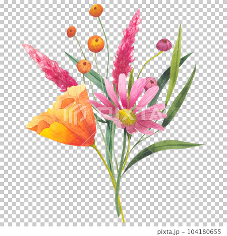 bouquet with orange Watercolor california poppies, dried flowers and cosmos flowers isolated on white background. Hand painted illustration to design invitations, postcards and other print bouquet with orange Watercolor california poppies, dried flowers and cosmos flowers isolated on white background. Hand painted illustration to design invitations, postcards and other print 104180655