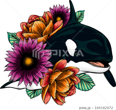 vector illustration of killer whale with flower 104182072