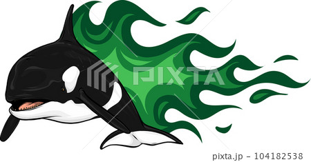 vector illustration of Killer Whale with flames vector illustration of Killer Whale with flames 104182538