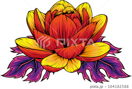 vector Illustration of Water Lily flower Isolated on White Background vector Illustration of Water Lily flower Isolated on White Background 104182588