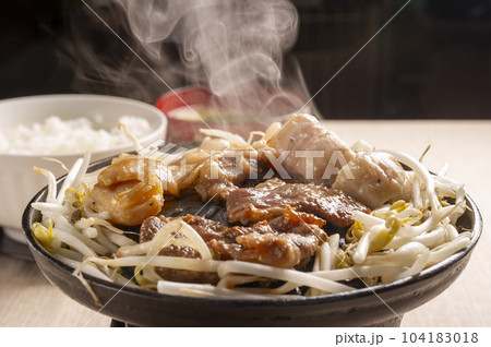 新鮮で美味しいラム肉料理 新鮮で美味しいラム肉料理 104183018